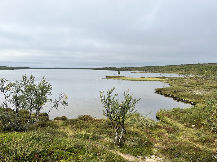 Klicke auf die Grafik für eine vergrößerte Ansicht  Name: 20230-09 Varanger - 000137.jpg Ansichten: 0 Größe: 4,82 MB ID: 3253771