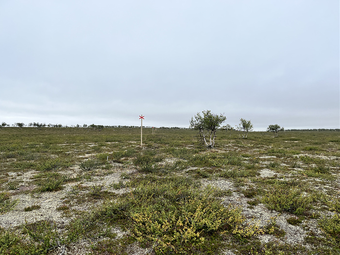 Klicke auf die Grafik für eine vergrößerte Ansicht  Name: 20230-09 Varanger - 000128.jpg Ansichten: 0 Größe: 5,15 MB ID: 3253772