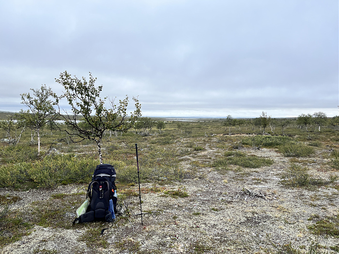 Klicke auf die Grafik für eine vergrößerte Ansicht  Name: 20230-09 Varanger - 000148.jpg Ansichten: 0 Größe: 5,63 MB ID: 3253776