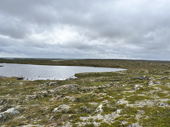Klicke auf die Grafik für eine vergrößerte Ansicht  Name: 20230-09 Varanger - 000170.jpg Ansichten: 0 Größe: 5,29 MB ID: 3253785