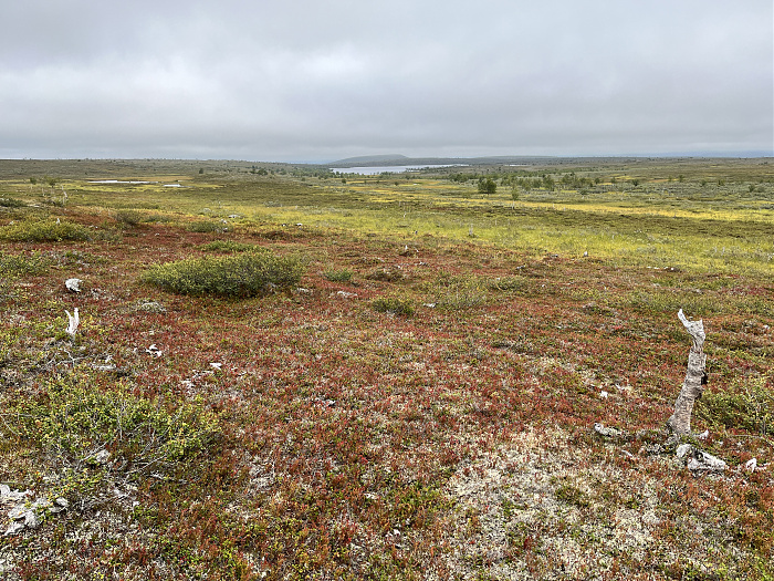 Klicke auf die Grafik für eine vergrößerte Ansicht  Name: 20230-09 Varanger - 000238.jpg Ansichten: 0 Größe: 7,40 MB ID: 3253814