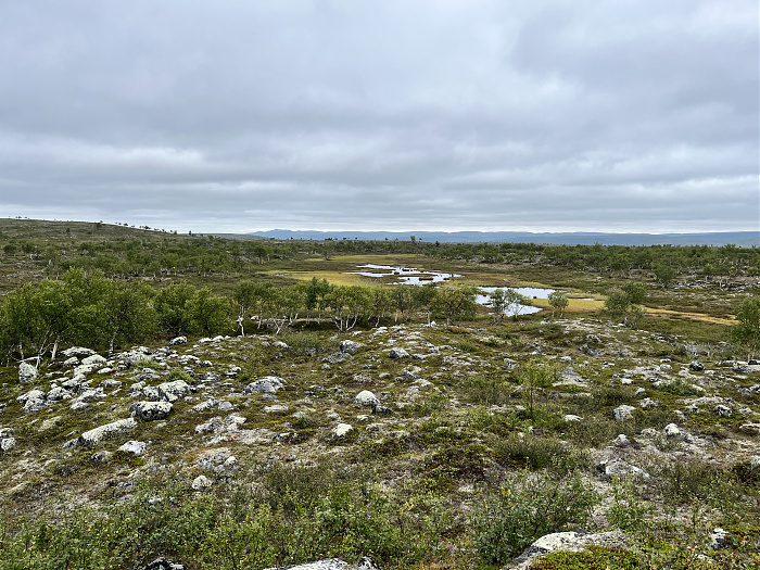 Klicke auf die Grafik für eine vergrößerte Ansicht  Name: 20230-09 Varanger - 000267.jpg Ansichten: 0 Größe: 5,75 MB ID: 3253811