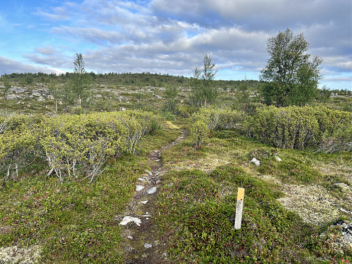 Klicke auf die Grafik für eine vergrößerte Ansicht  Name: 20230-09 Varanger - 000300.jpg Ansichten: 0 Größe: 7,33 MB ID: 3253832