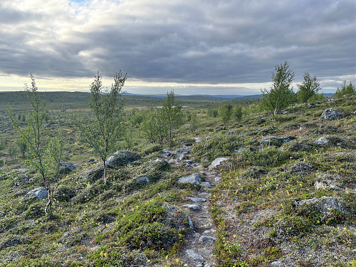 Klicke auf die Grafik für eine vergrößerte Ansicht  Name: 20230-09 Varanger - 000302.jpg Ansichten: 0 Größe: 6,53 MB ID: 3253833