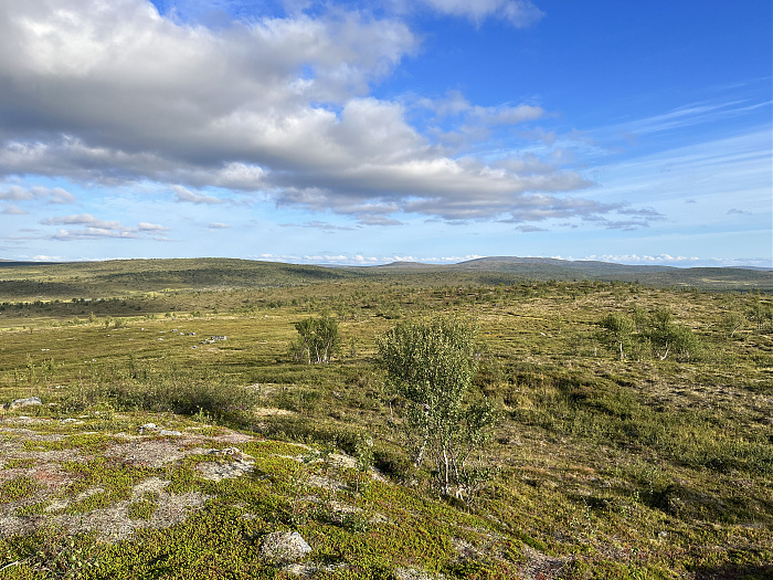 Klicke auf die Grafik für eine vergrößerte Ansicht  Name: 20230-09 Varanger - 000296.jpg Ansichten: 6 Größe: 6,33 MB ID: 3253846