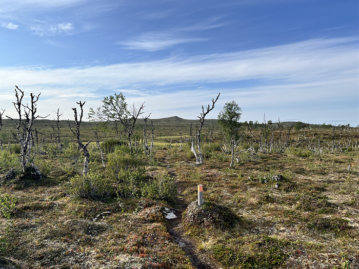 Klicke auf die Grafik für eine vergrößerte Ansicht  Name: 20230-09 Varanger - 000325.jpg Ansichten: 0 Größe: 6,23 MB ID: 3253850