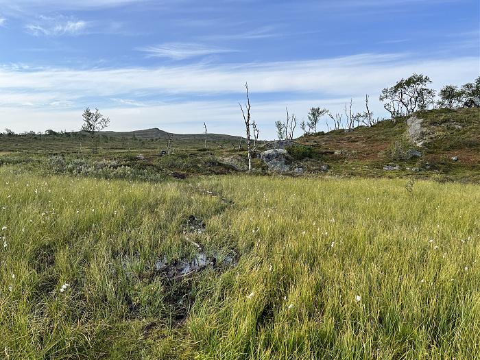 Klicke auf die Grafik für eine vergrößerte Ansicht  Name: 20230-09 Varanger - 000329.jpg Ansichten: 0 Größe: 6,66 MB ID: 3253852