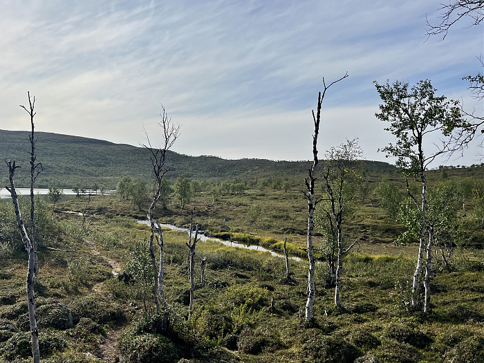 Klicke auf die Grafik für eine vergrößerte Ansicht  Name: 20230-09 Varanger - 000343.jpg Ansichten: 0 Größe: 2,96 MB ID: 3253857