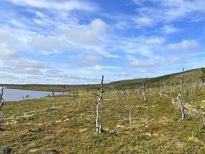 Klicke auf die Grafik für eine vergrößerte Ansicht  Name: 20230-09 Varanger - 000383.jpg Ansichten: 0 Größe: 5,08 MB ID: 3253872