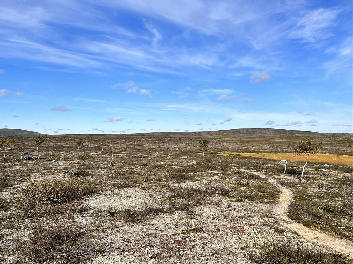 Klicke auf die Grafik für eine vergrößerte Ansicht  Name: 20230-09 Varanger - 000414.jpg Ansichten: 0 Größe: 4,97 MB ID: 3253874