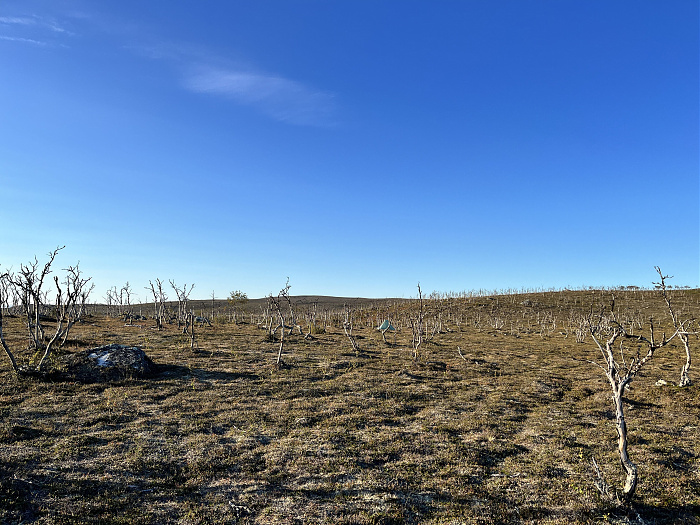 Klicke auf die Grafik für eine vergrößerte Ansicht  Name: 20230-09 Varanger - 000444.jpg Ansichten: 0 Größe: 4,66 MB ID: 3253878