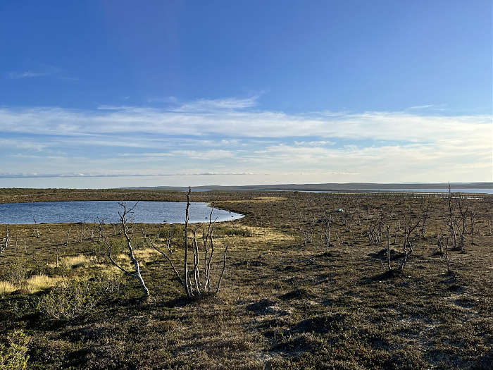Klicke auf die Grafik für eine vergrößerte Ansicht  Name: 20230-09 Varanger - 000445.jpg Ansichten: 0 Größe: 4,47 MB ID: 3253880