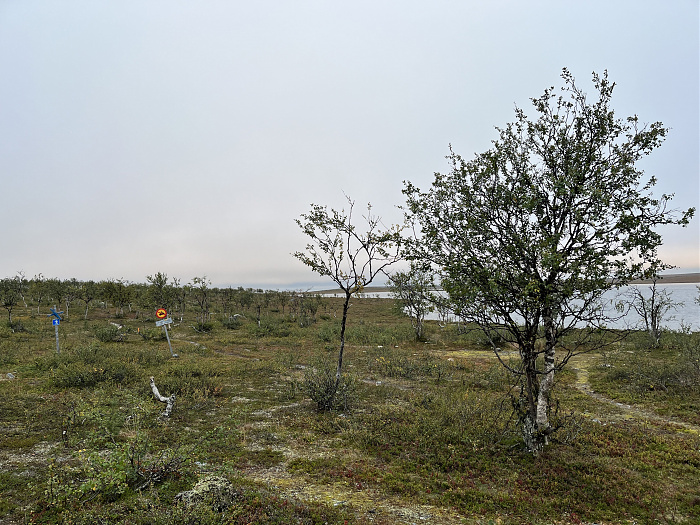 Klicke auf die Grafik für eine vergrößerte Ansicht  Name: 20230-09 Varanger - 000456.jpg Ansichten: 0 Größe: 4,78 MB ID: 3253916