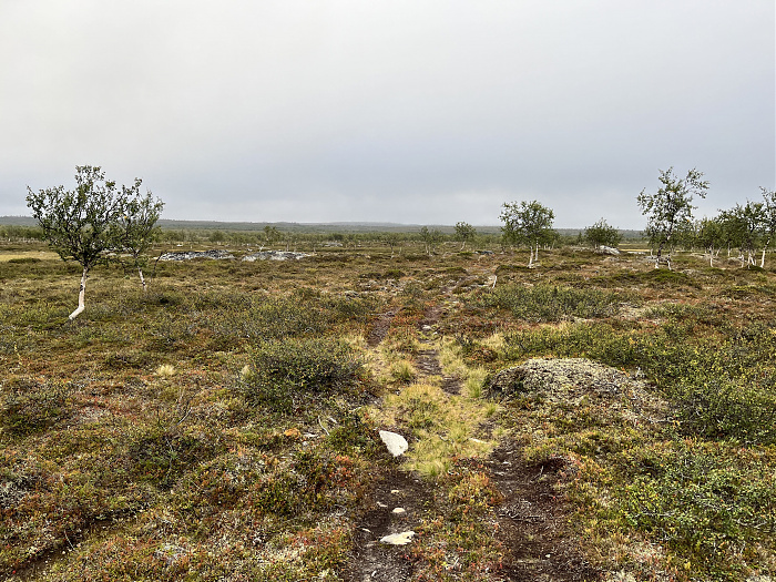Klicke auf die Grafik für eine vergrößerte Ansicht  Name: 20230-09 Varanger - 000476.jpg Ansichten: 0 Größe: 5,87 MB ID: 3253923
