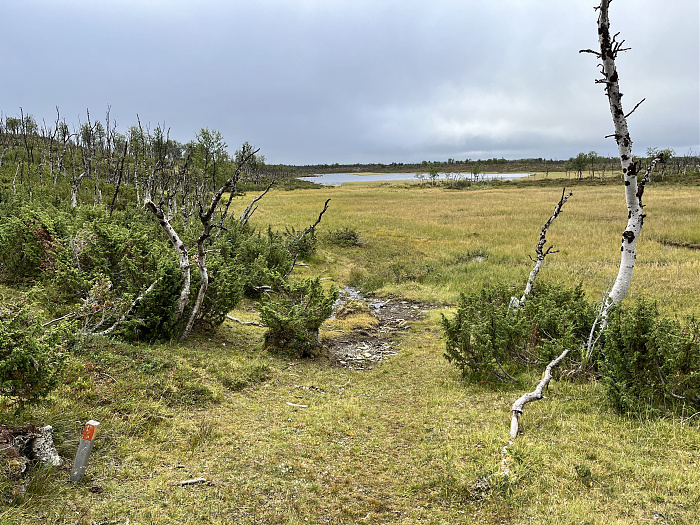 Klicke auf die Grafik für eine vergrößerte Ansicht  Name: 20230-09 Varanger - 000500.jpg Ansichten: 0 Größe: 6,01 MB ID: 3253925