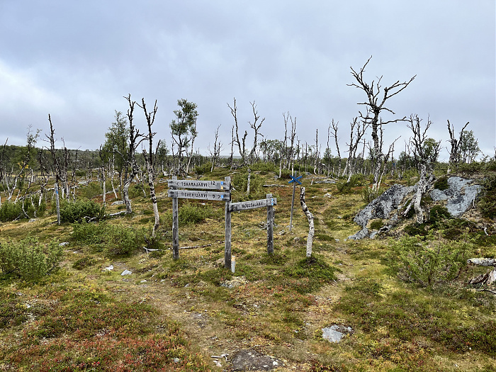 Klicke auf die Grafik für eine vergrößerte Ansicht  Name: 20230-09 Varanger - 000521.jpg Ansichten: 0 Größe: 5,46 MB ID: 3253927
