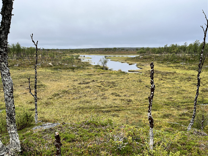 Klicke auf die Grafik für eine vergrößerte Ansicht  Name: 20230-09 Varanger - 000504.jpg Ansichten: 0 Größe: 5,89 MB ID: 3253929
