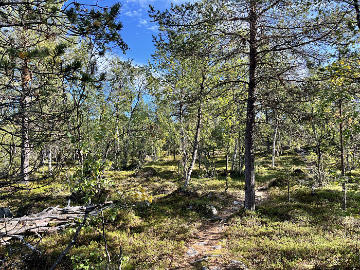Klicke auf die Grafik für eine vergrößerte Ansicht  Name: 20230-09 Varanger - 000680.jpg Ansichten: 0 Größe: 9,13 MB ID: 3254015