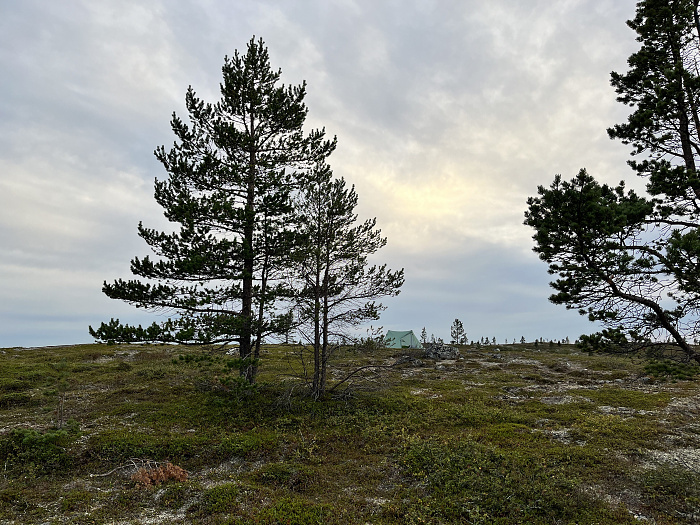 Klicke auf die Grafik für eine vergrößerte Ansicht  Name: 20230-09 Varanger - 000739.jpg Ansichten: 0 Größe: 4,93 MB ID: 3254027