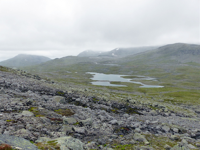 Klicke auf die Grafik für eine vergrößerte Ansicht

Name: 202308_NOR_Borgefjell_203.jpg
Ansichten: 446
Größe: 3,19 MB
ID: 3254135