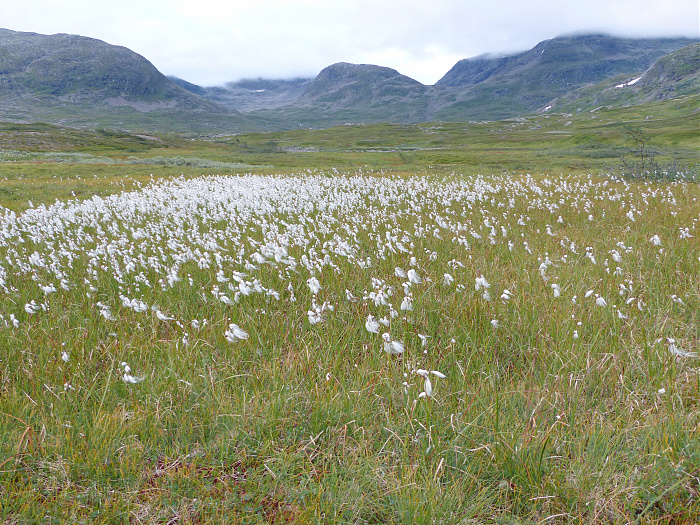 Klicke auf die Grafik für eine vergrößerte Ansicht

Name: 202308_NOR_Borgefjell_222.jpg
Ansichten: 441
Größe: 4,27 MB
ID: 3254143