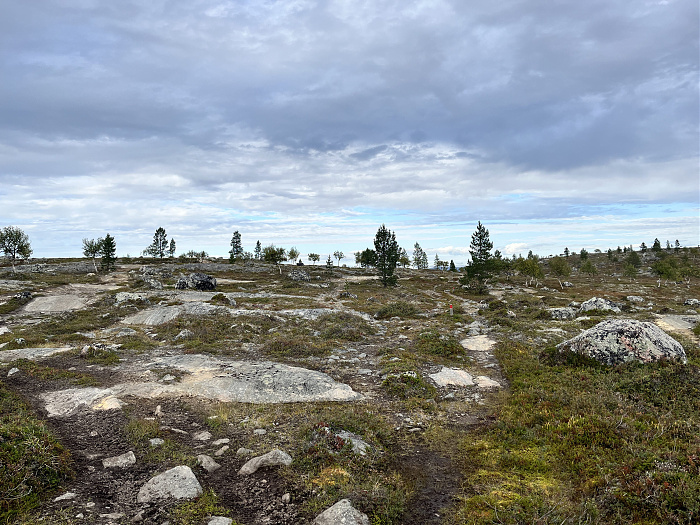 Klicke auf die Grafik für eine vergrößerte Ansicht  Name: 20230-09 Varanger - 000999.jpg Ansichten: 0 Größe: 4,73 MB ID: 3254170