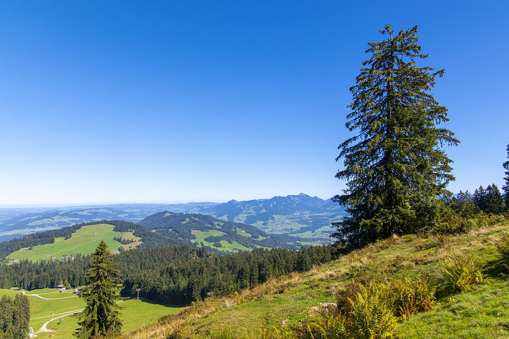 Nach Norden laufen die Berge langsam aus