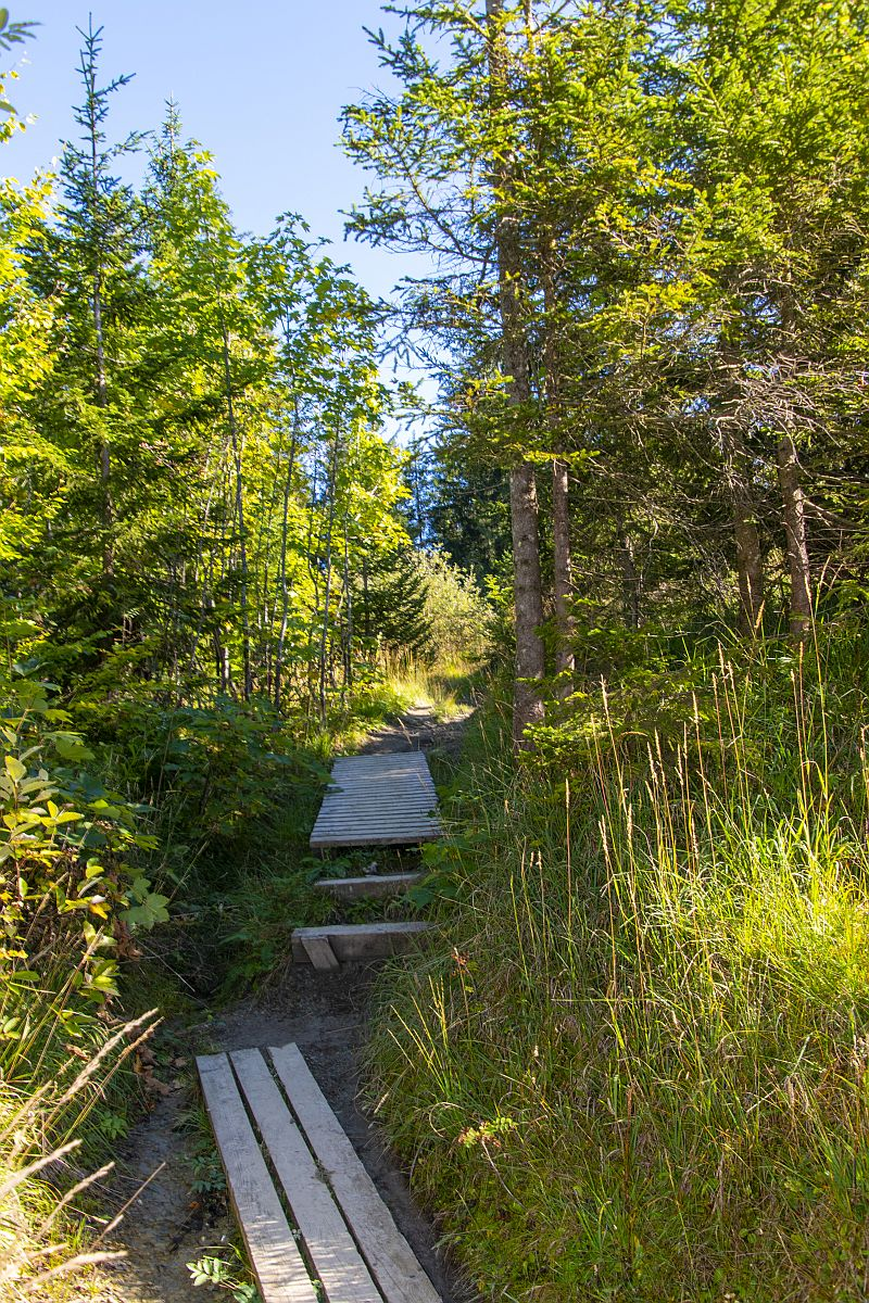 Schöne Wege zur Bregenzer Hütte