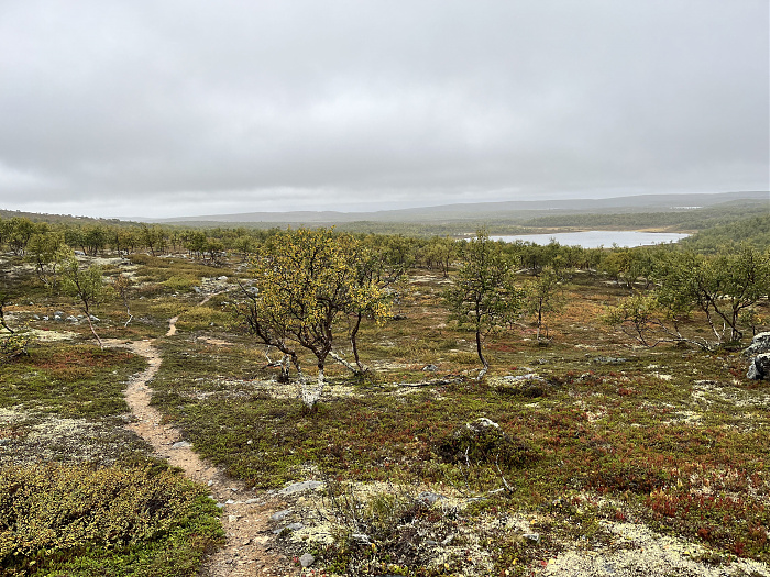Klicke auf die Grafik für eine vergrößerte Ansicht  Name: 20230-09 Varanger - 001106.jpg Ansichten: 0 Größe: 5,59 MB ID: 3254247