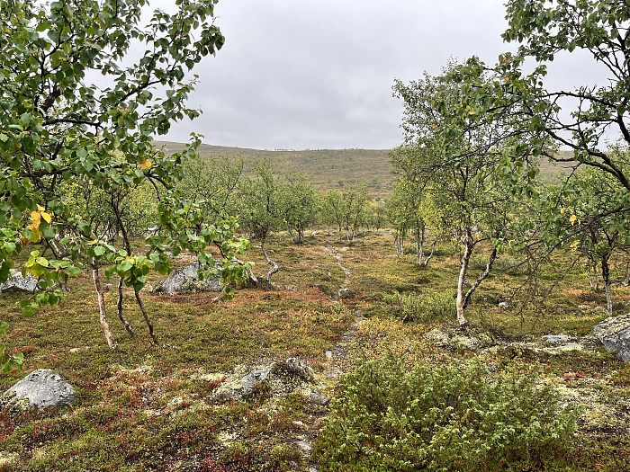 Klicke auf die Grafik für eine vergrößerte Ansicht  Name: 20230-09 Varanger - 001092.jpg Ansichten: 0 Größe: 7,06 MB ID: 3254249