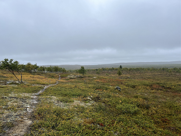 Klicke auf die Grafik für eine vergrößerte Ansicht  Name: 20230-09 Varanger - 001114.jpg Ansichten: 0 Größe: 4,70 MB ID: 3254254