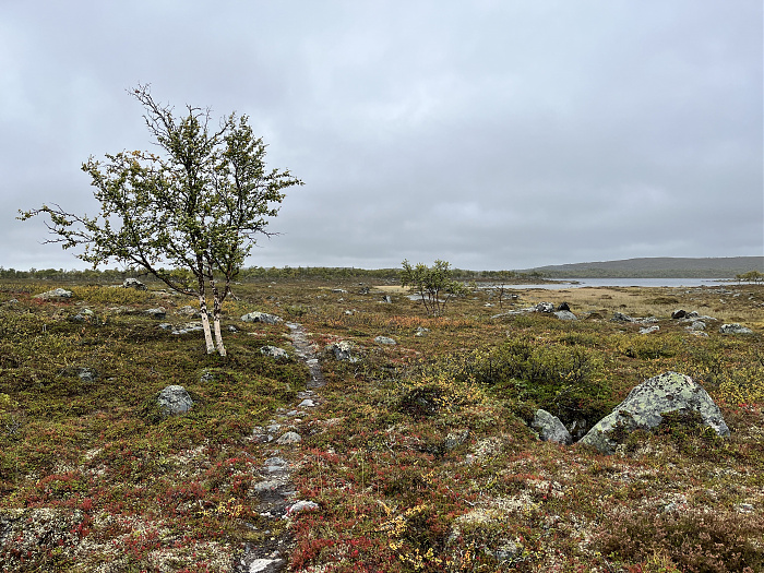 Klicke auf die Grafik für eine vergrößerte Ansicht  Name: 20230-09 Varanger - 001131.jpg Ansichten: 0 Größe: 5,48 MB ID: 3254257