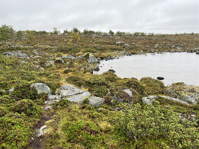 Klicke auf die Grafik für eine vergrößerte Ansicht  Name: 20230-09 Varanger - 001135.jpg Ansichten: 0 Größe: 6,66 MB ID: 3254261