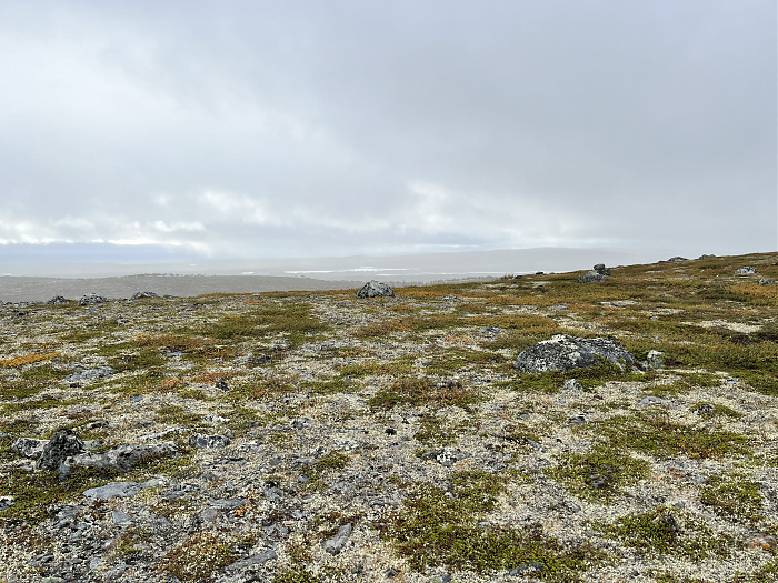 Klicke auf die Grafik für eine vergrößerte Ansicht  Name: 20230-09 Varanger - 001179.jpg Ansichten: 0 Größe: 5,07 MB ID: 3254347