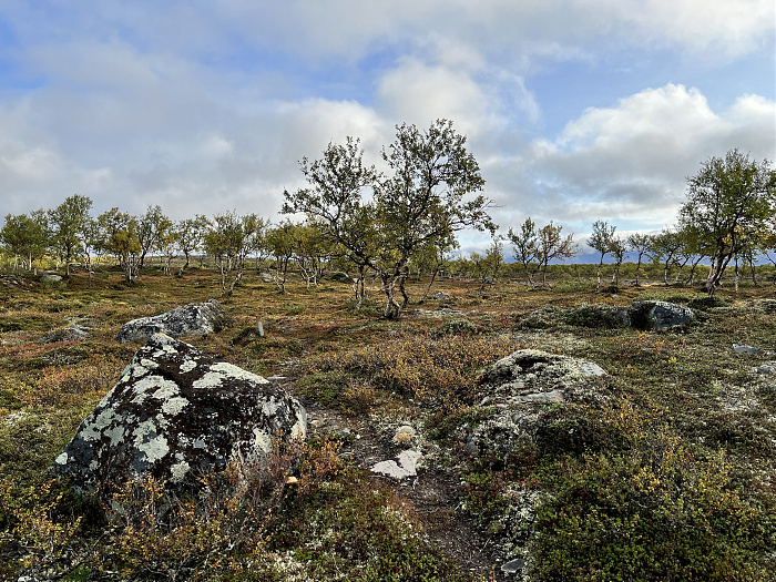 Klicke auf die Grafik für eine vergrößerte Ansicht  Name: 20230-09 Varanger - 001165.jpg Ansichten: 22 Größe: 6,09 MB ID: 3254348