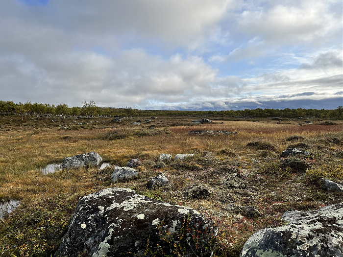 Klicke auf die Grafik für eine vergrößerte Ansicht  Name: 20230-09 Varanger - 001166.jpg Ansichten: 22 Größe: 4,85 MB ID: 3254349