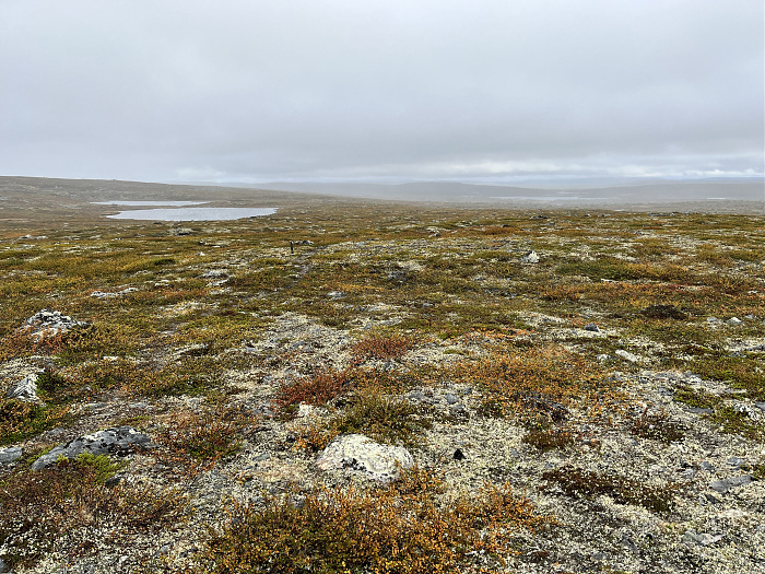 Klicke auf die Grafik für eine vergrößerte Ansicht  Name: 20230-09 Varanger - 001177.jpg Ansichten: 0 Größe: 6,24 MB ID: 3254350