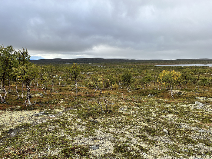 Klicke auf die Grafik für eine vergrößerte Ansicht  Name: 20230-09 Varanger - 001170.jpg Ansichten: 0 Größe: 5,95 MB ID: 3254351