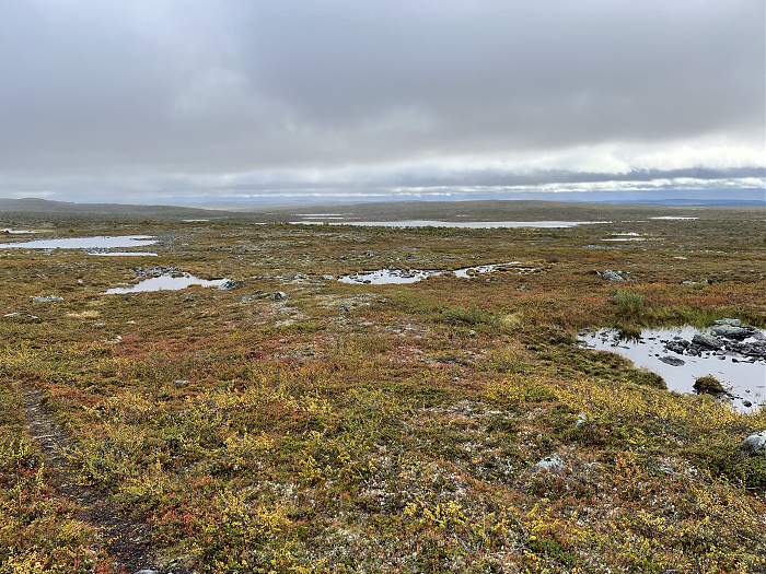 Klicke auf die Grafik für eine vergrößerte Ansicht  Name: 20230-09 Varanger - 001183.jpg Ansichten: 0 Größe: 5,66 MB ID: 3254352