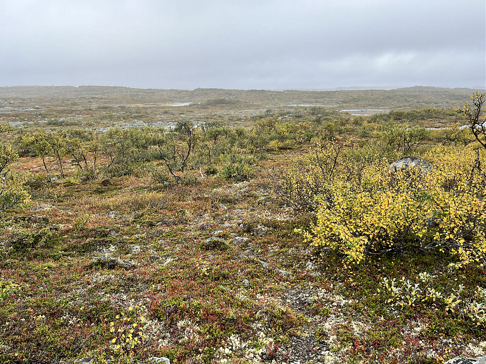 Klicke auf die Grafik für eine vergrößerte Ansicht  Name: 20230-09 Varanger - 001190.jpg Ansichten: 0 Größe: 7,06 MB ID: 3254354