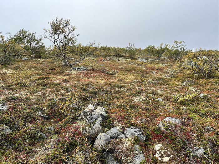 Klicke auf die Grafik für eine vergrößerte Ansicht  Name: 20230-09 Varanger - 001197.jpg Ansichten: 0 Größe: 7,26 MB ID: 3254355