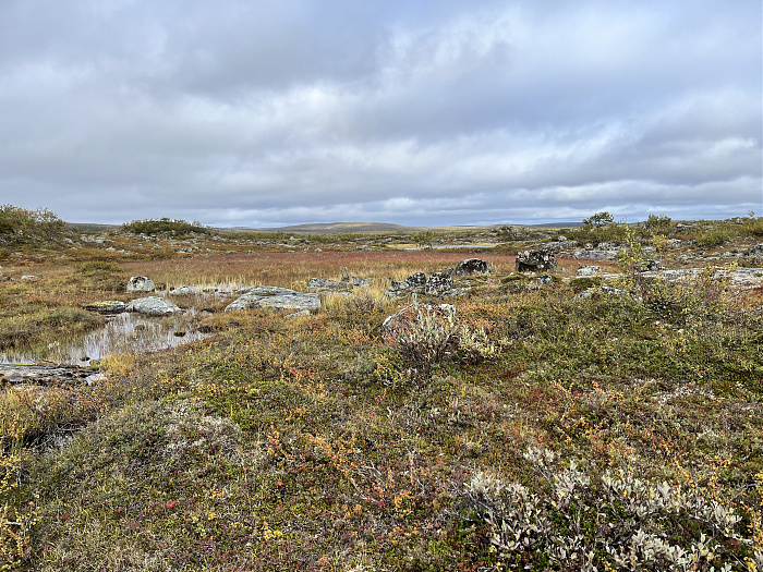 Klicke auf die Grafik für eine vergrößerte Ansicht  Name: 20230-09 Varanger - 001228.jpg Ansichten: 0 Größe: 5,78 MB ID: 3254362
