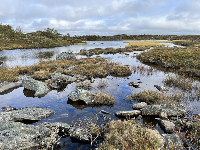 Klicke auf die Grafik für eine vergrößerte Ansicht  Name: 20230-09 Varanger - 001234.jpg Ansichten: 0 Größe: 5,60 MB ID: 3254366