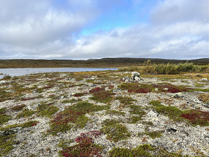 Klicke auf die Grafik für eine vergrößerte Ansicht  Name: 20230-09 Varanger - 001238.jpg Ansichten: 0 Größe: 6,07 MB ID: 3254367