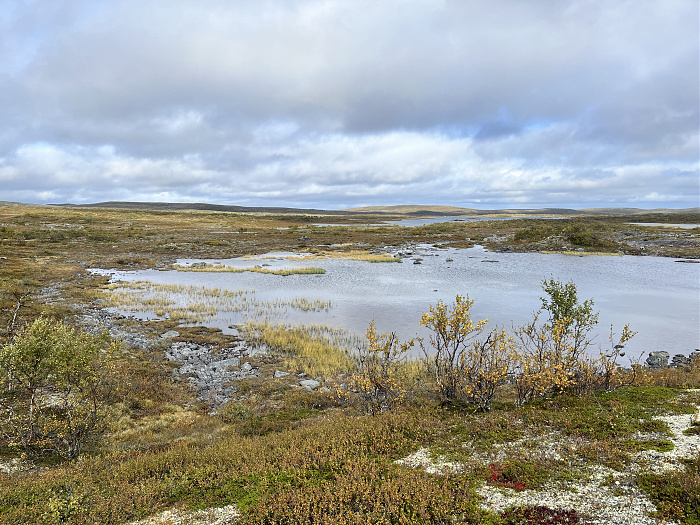 Klicke auf die Grafik für eine vergrößerte Ansicht  Name: 20230-09 Varanger - 001236.jpg Ansichten: 0 Größe: 5,03 MB ID: 3254368