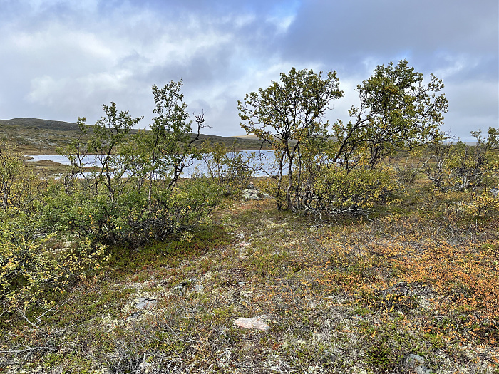 Klicke auf die Grafik für eine vergrößerte Ansicht  Name: 20230-09 Varanger - 001242.jpg Ansichten: 0 Größe: 6,94 MB ID: 3254369