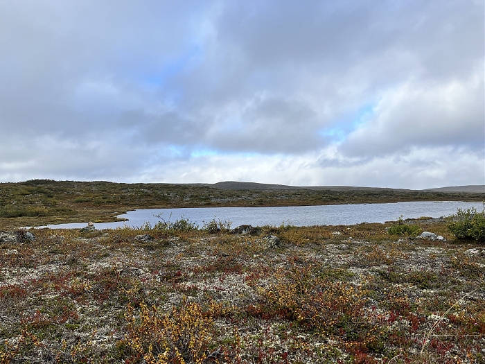 Klicke auf die Grafik für eine vergrößerte Ansicht  Name: 20230-09 Varanger - 001243.jpg Ansichten: 0 Größe: 4,45 MB ID: 3254371