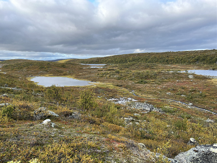 Klicke auf die Grafik für eine vergrößerte Ansicht  Name: 20230-09 Varanger - 001269.jpg Ansichten: 0 Größe: 5,64 MB ID: 3254378