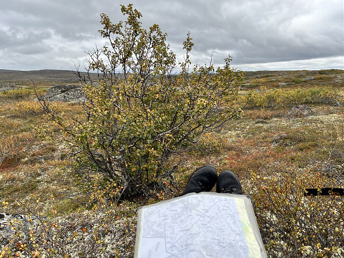 Klicke auf die Grafik für eine vergrößerte Ansicht  Name: 20230-09 Varanger - 001317.jpg Ansichten: 0 Größe: 5,86 MB ID: 3254398