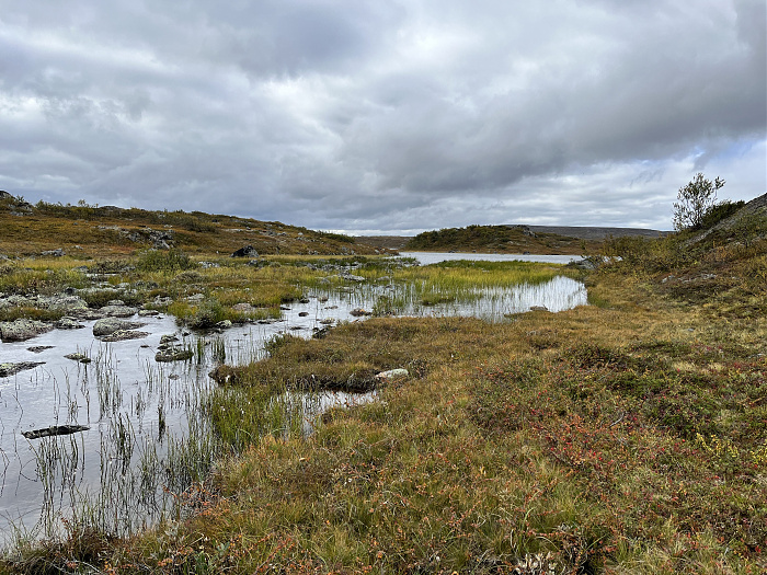 Klicke auf die Grafik für eine vergrößerte Ansicht  Name: 20230-09 Varanger - 001333.jpg Ansichten: 0 Größe: 5,11 MB ID: 3254400